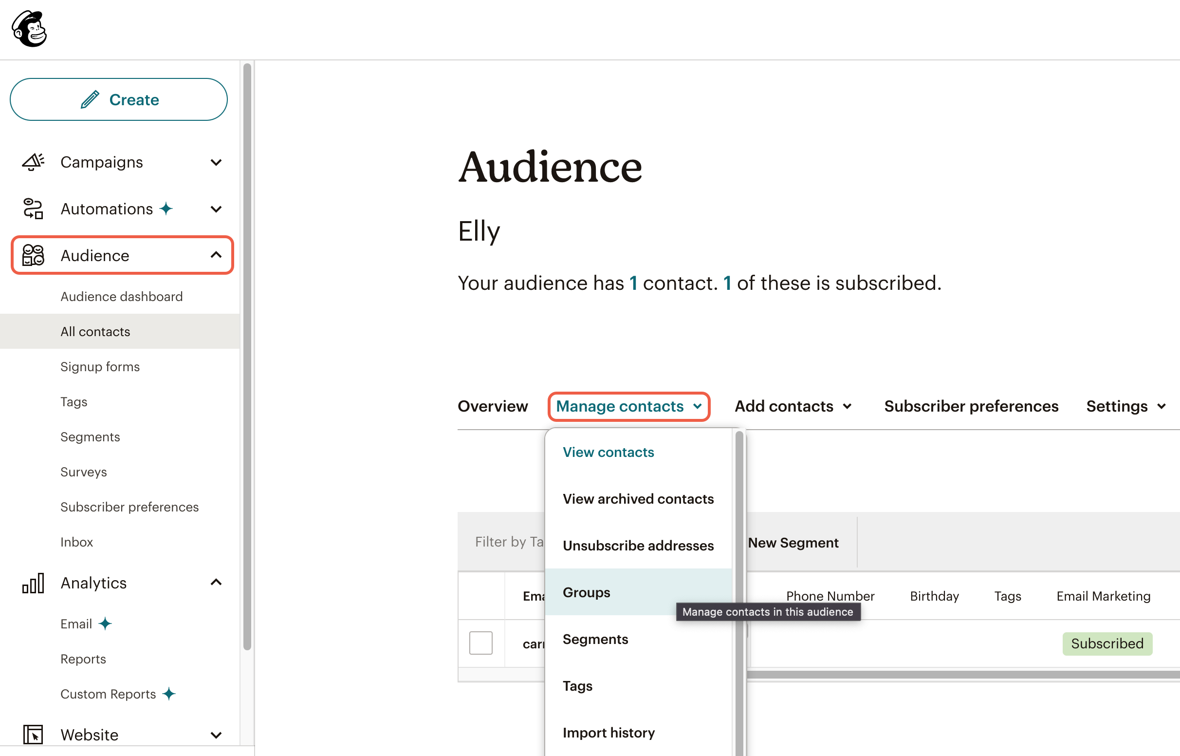 Mailchimp-audience.png