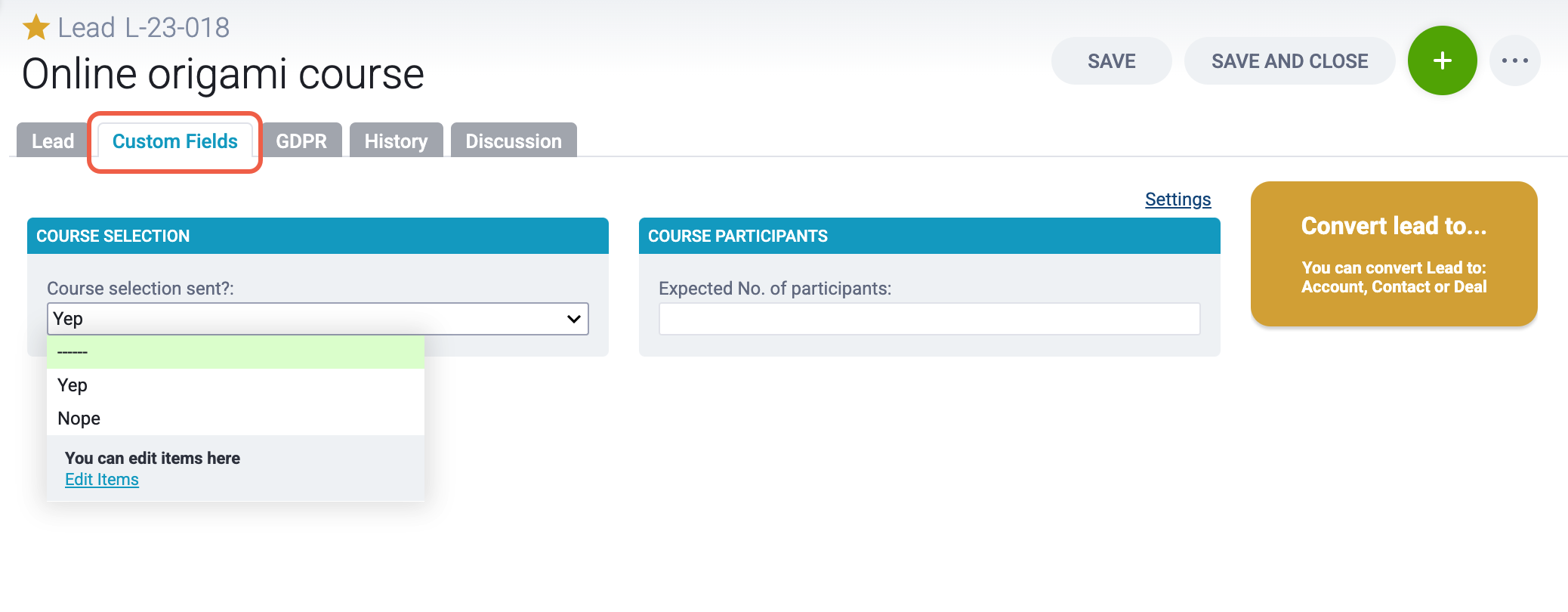 lead-custom-fields.png